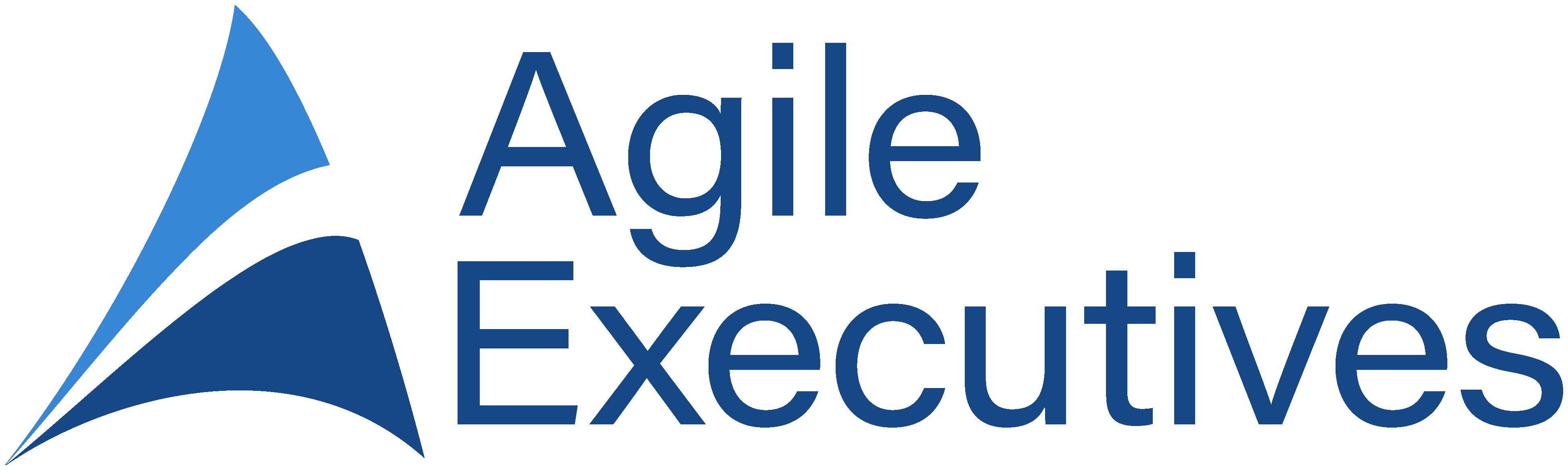 Agile Executives